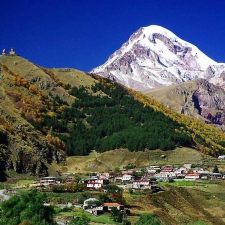 Tamila Guest House Kazbegi Exteriör bild