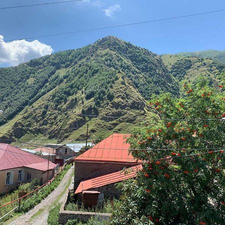 Tamila Guest House Kazbegi Exteriör bild
