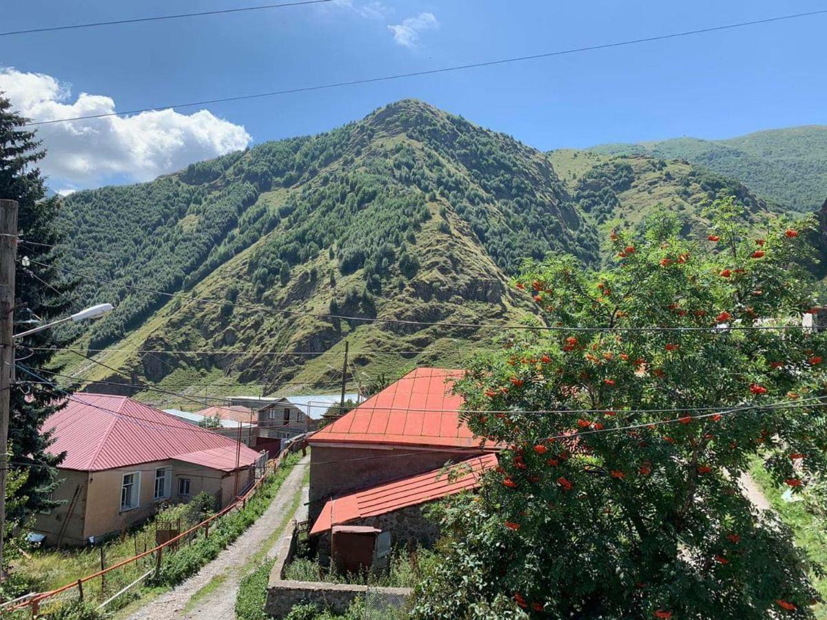 Tamila Guest House Kazbegi Exteriör bild